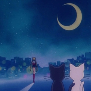 国产乱XX乂XXX交
