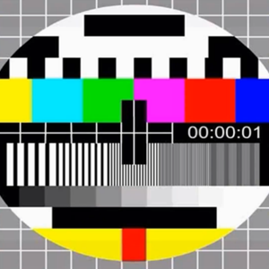 国产乱XX乂XXX交
