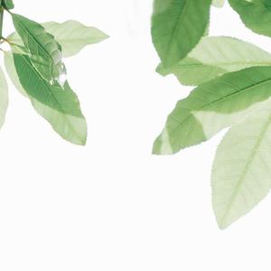 国产乱XX乂XXX交
